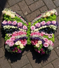 Butterfly Tribute