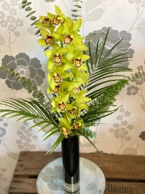 Elegant Orchid Vase Arrangement